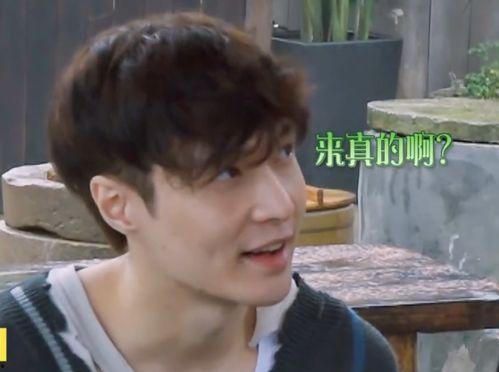 圈内爆料张艺兴和杨紫